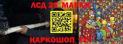 индика Моздок