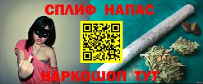 индика Моздок